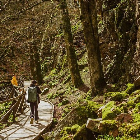Skaralids Camping & Vandrarhem Ljungbyhed Exteriér fotografie